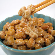 納豆菌抽出物